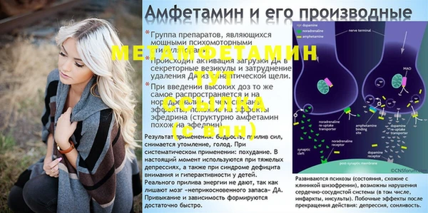 сатива Алексеевка