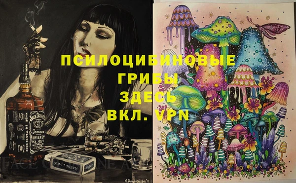 сатива Алексеевка
